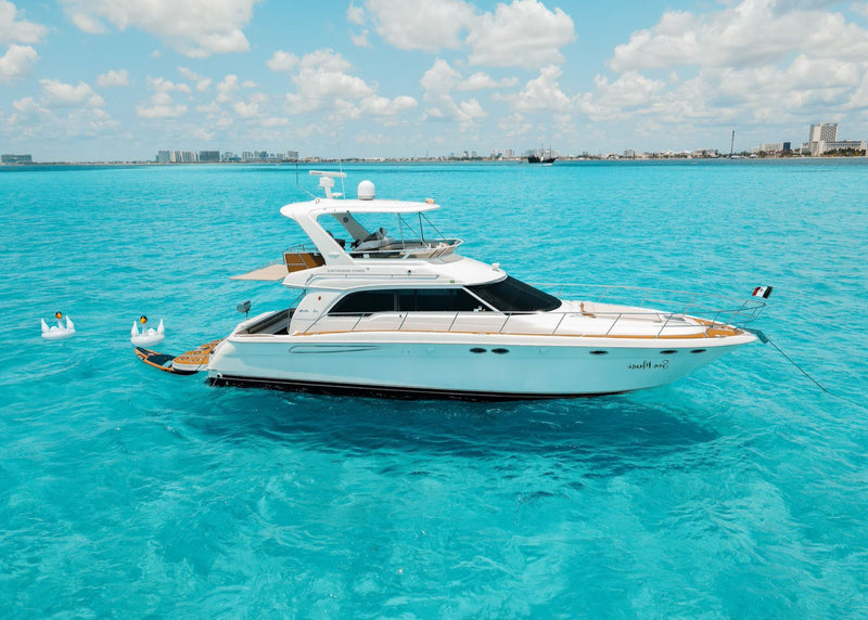 52 FT - SEA RAY FLYBRIDGE - SMM - UP TO 20 PAX - STARTING FROM $26,000 MXN