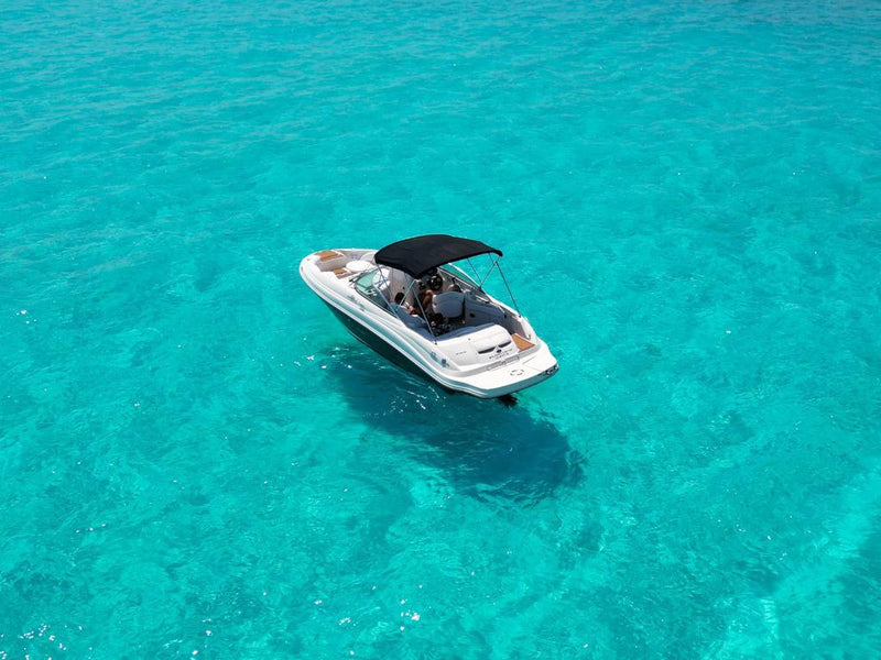 27 FT - SEARAY SUNDANCER- LBT - UP TO 8 PAX - STARTING FROM $10,000 MXN -ISLA MUJERES